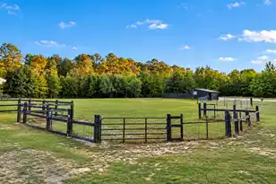 7068 Cameron Rd, Cameron, SC 29030 - Photo 48