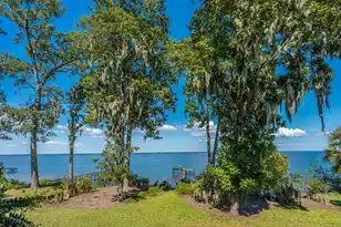 113 Big Dog Ln, Eutawville, SC 29048 - Photo 2