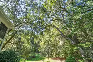 7909 Edingsville Beach Rd, Edisto Island, SC 29438 - Photo 50