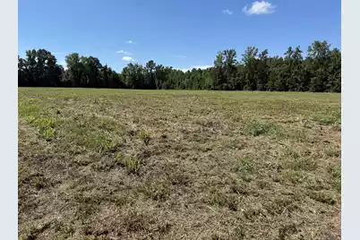 15844 Ace Basin (Lot #3) Parkway, Round O, SC 29474 - Photo 2
