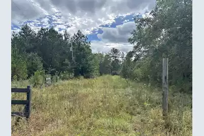 938 Mars Old, Cottageville, SC 29435 - Photo 4
