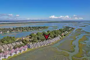241 Little Oak Dr, Folly Beach, SC 29439 - Photo 30