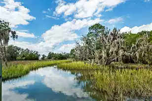 1310 Martins Point Rd, Wadmalaw Island, SC 29487 - Photo 88