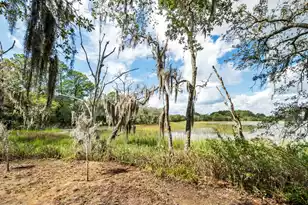 1310 Martins Point Rd, Wadmalaw Island, SC 29487 - Photo 74