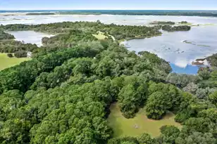 1310 Martins Point Rd, Wadmalaw Island, SC 29487 - Photo 8