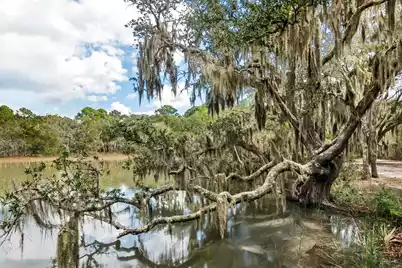 1310 Martins Point Road, Wadmalaw Island, SC 29487 - Photo 68