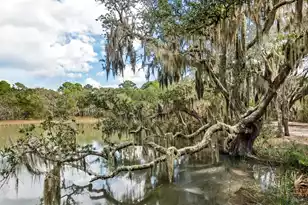 1310 Martins Point Rd, Wadmalaw Island, SC 29487 - Photo 68
