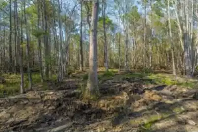 808 Society Road, McClellanville, SC 29458 - Photo 60