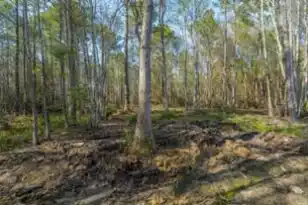 808 Society Rd, McClellanville, SC 29458 - Photo 60