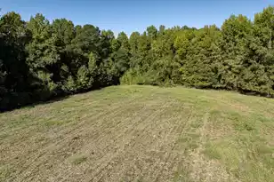 0 Plowden Mill Rd, Alcolu, SC 29001 - Photo 24