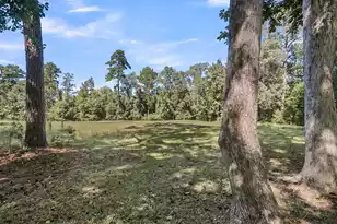 9166 Markleys Grove Blvd, Summerville, SC 29485 - Photo 48