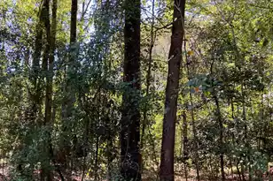 738 Todd Creek Rd, Neeses, SC 29107 - Photo 6