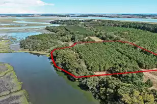 3142 Mary Hay Blvd, Johns Island, SC 29455 - Photo 1