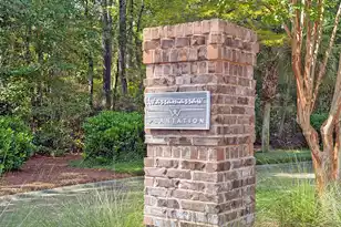 1317 Wood Sorrel Dr, Moncks Corner, SC 29461 - Photo 64