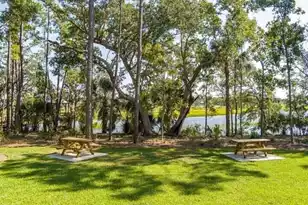 3894 Fifle St, Mount Pleasant, SC 29466 - Photo 70
