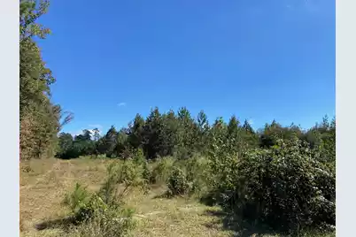00 Todd Creek Rd and Wisp Rd, Neeses, SC 29107 - Photo 6