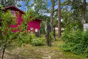 417 Black St, Walterboro, SC 29488 - Photo 60