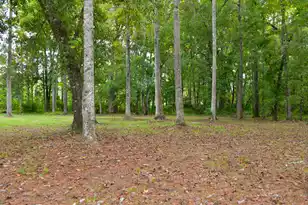 6441 Hwy 162, Hollywood, SC 29449 - Photo 1