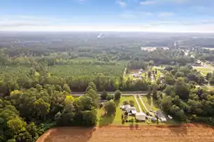 161 Kate St, Harleyville, SC 29448 - Photo 58