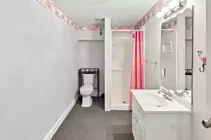 3801 Adrian Way, Mount Pleasant, SC 29466 - Photo 54