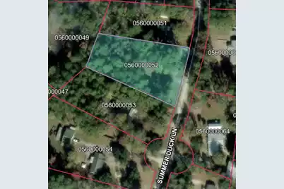 109 Summer Duck Lane, Bonneau, SC 29431 - Photo 4