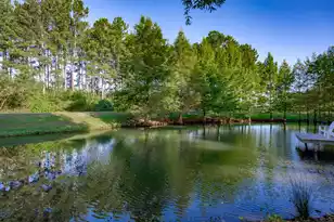 3299 Newman Branch Rd, New Zion, SC 29111 - Photo 60