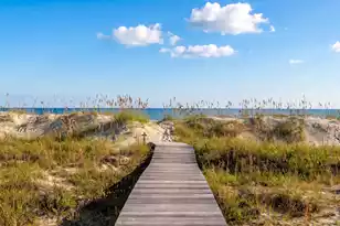 47 Surfsong #1 5 Shares, Kiawah Island, SC 29455 - Photo 6