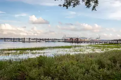 626 Waterman Street #626, Charleston, SC 29492 - Photo 16