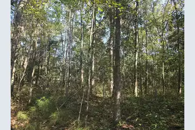 2442 Peirce Road, Cottageville, SC 29435 - Photo 6