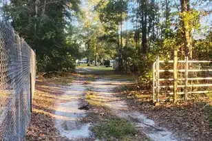 93 Ramsey Hill Dr, Walterboro, SC 29488 - Photo 4