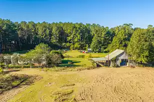 272 Old Bell Rd, Saint George, SC 29477 - Photo 86