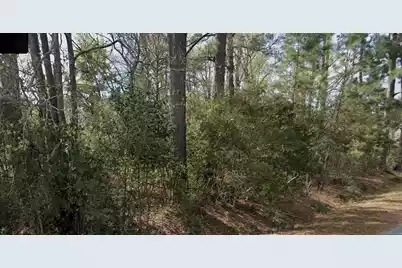 00 Ginn Altman Avenue, Hampton, SC 29924 - Photo 1