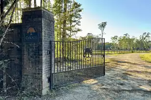 1509 Morrison Canal Dr, McClellanville, SC 29458 - Photo 1