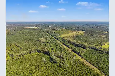 9750 Cottageville Highway, Cottageville, SC 29435 - Photo 52