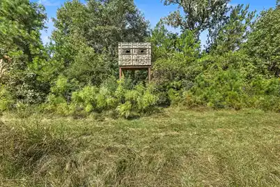 9750 Cottageville Highway, Cottageville, SC 29435 - Photo 4