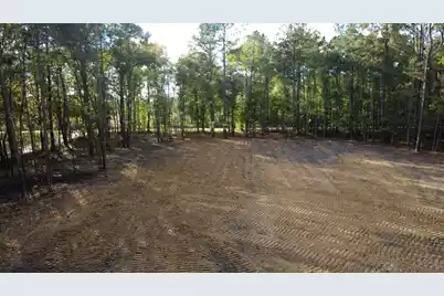 0 Gum Branch & Sweetgum Road, Saint George, SC 29477 - Photo 2