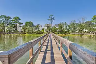 408 Blowing Fresh Dr, Charleston, SC 29492 - Photo 62