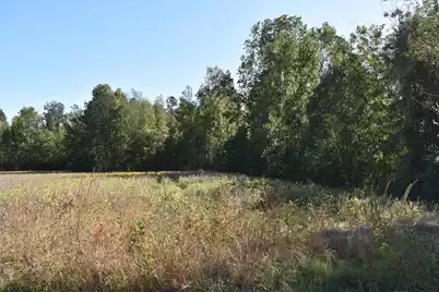 0000 Murdock Road, Manning, SC 29102 - Photo 2