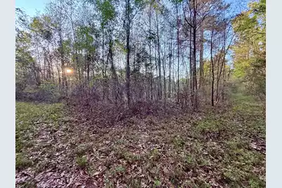 430 Weenee Road, Jamestown, SC 29453 - Photo 10