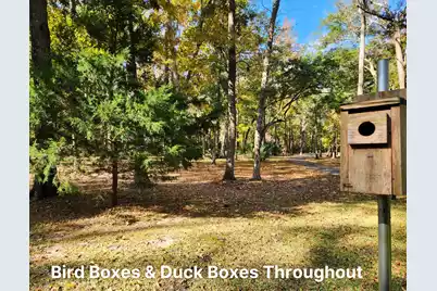 186 Bull Point Drive, Seabrook, SC 29940 - Photo 70