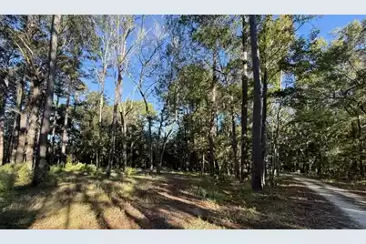 4274 River Road, Johns Island, SC 29455 - Photo 2
