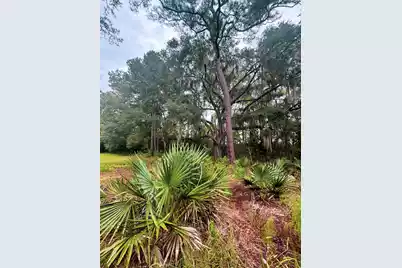 7721 Toogoodoo Road, Hollywood, SC 29449 - Photo 38