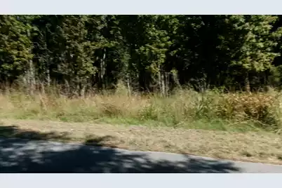 Lot 5 Manor Road, Hollywood, SC 29449 - Photo 4