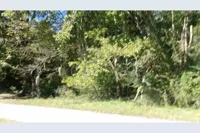 Lot 3 Manor Road, Hollywood, SC 29449 - Photo 8