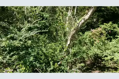 Lot 3 Manor Road, Hollywood, SC 29449 - Photo 10