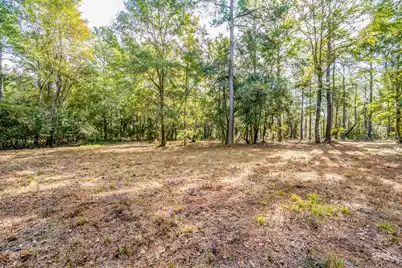 527 Mouzons Bluff, McClellanville, SC 29458 - Photo 6