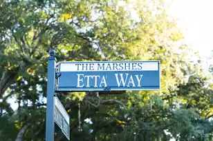 115 Etta Wy, Daniel Island, SC 29492 - Photo 24