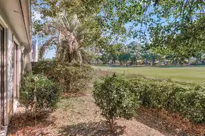 1803 Ventura Place, Mount Pleasant, SC 29464 - Photo 54