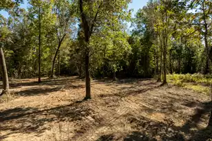 251 Pole Cat Wy, Saint Stephen, SC 29479 - Photo 32