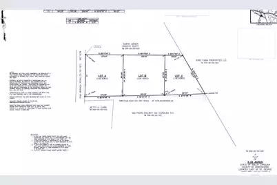 0 Sweetgum Road #Lot B, Saint George, SC 29477 - Photo 4